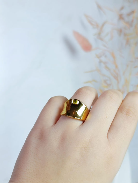 ANILLO LISO EN ACERO QUIRURGICO